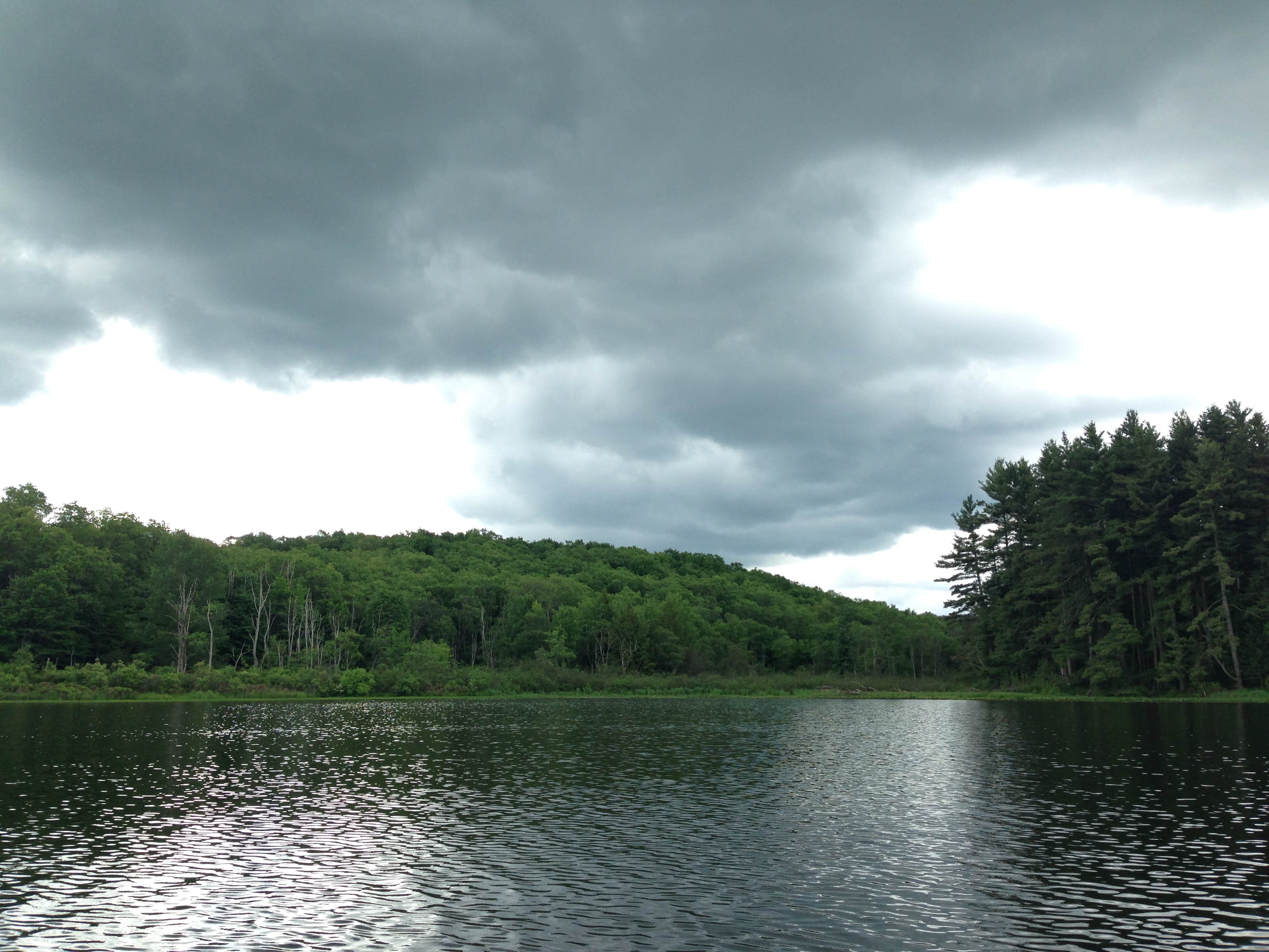 Camper submitted image from Herrington Manor State Park Campground - 2