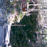 Review photo of Blue Hole Campground — Florida Caverns State Park by Christy C., June 29, 2016