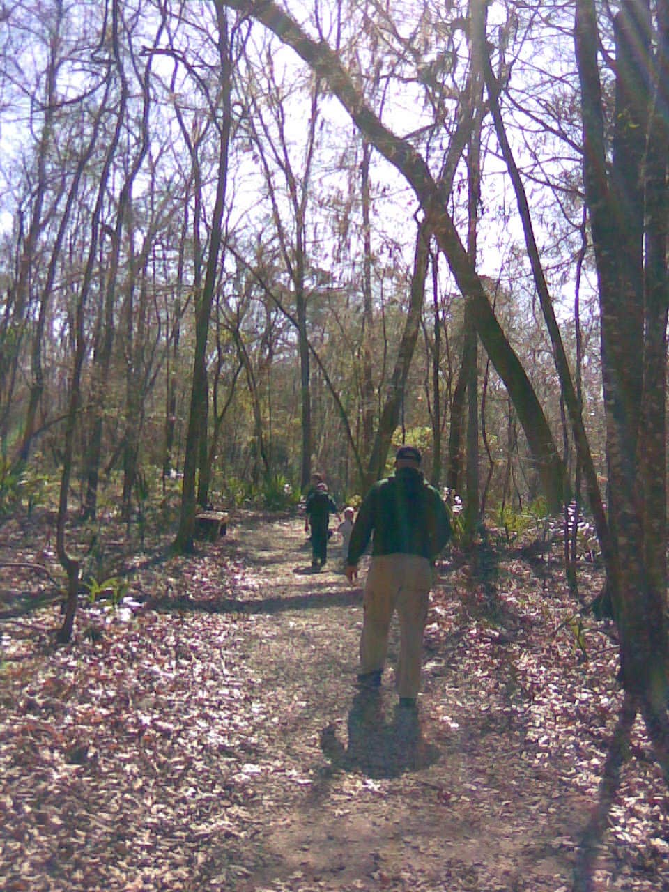 Camper submitted image from Blue Hole Campground — Florida Caverns State Park - 3