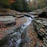 Review photo of Kentuck Campground — Ohiopyle State Park by Danielle V., August 22, 2017