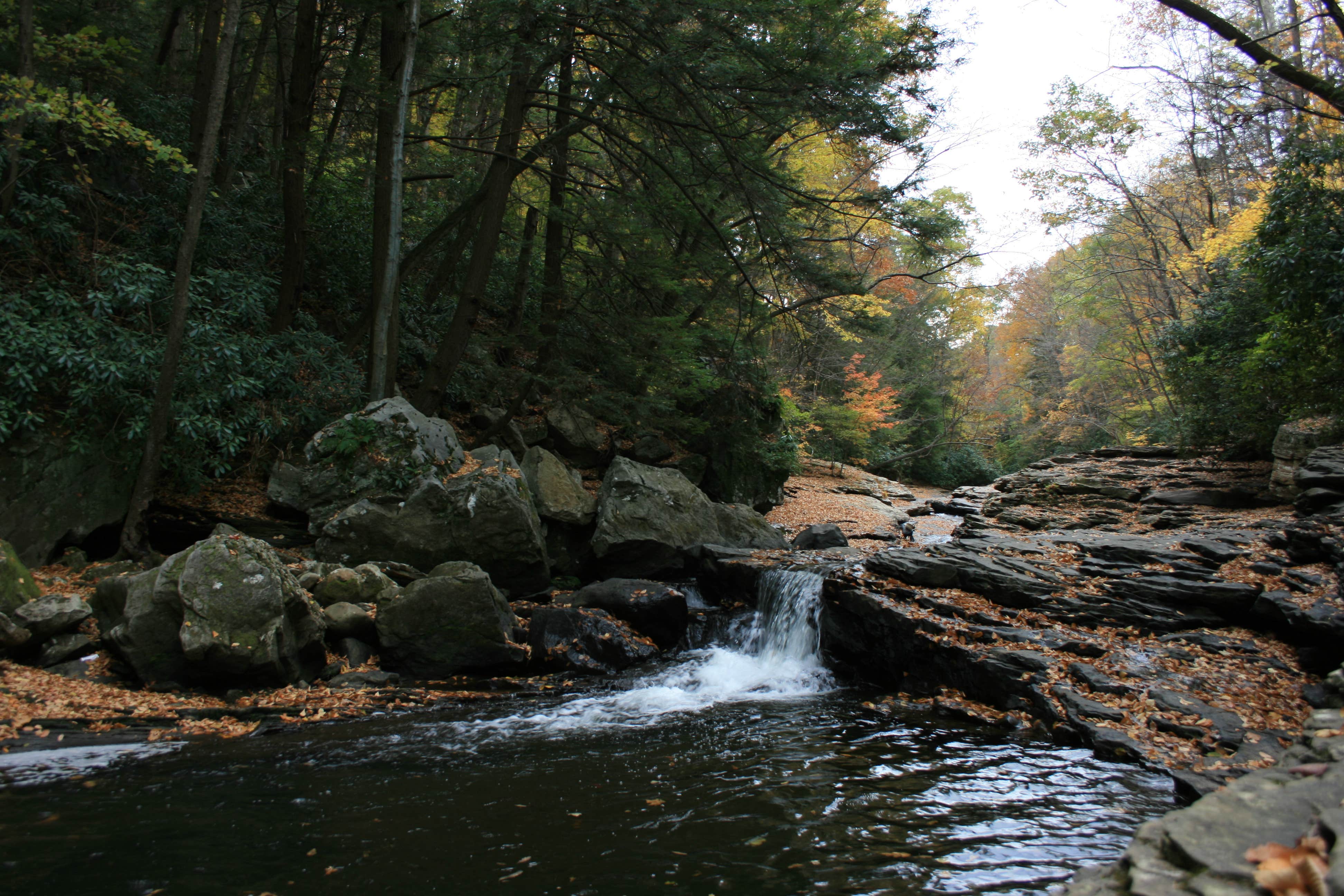 Camper-submitted photo at Kentuck Campground — Ohiopyle State Park near Grantsville, MD