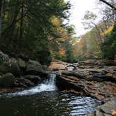 Review photo of Kentuck Campground — Ohiopyle State Park by Danielle V., August 22, 2017