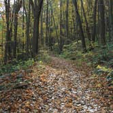 Review photo of Kentuck Campground — Ohiopyle State Park by Danielle V., August 22, 2017