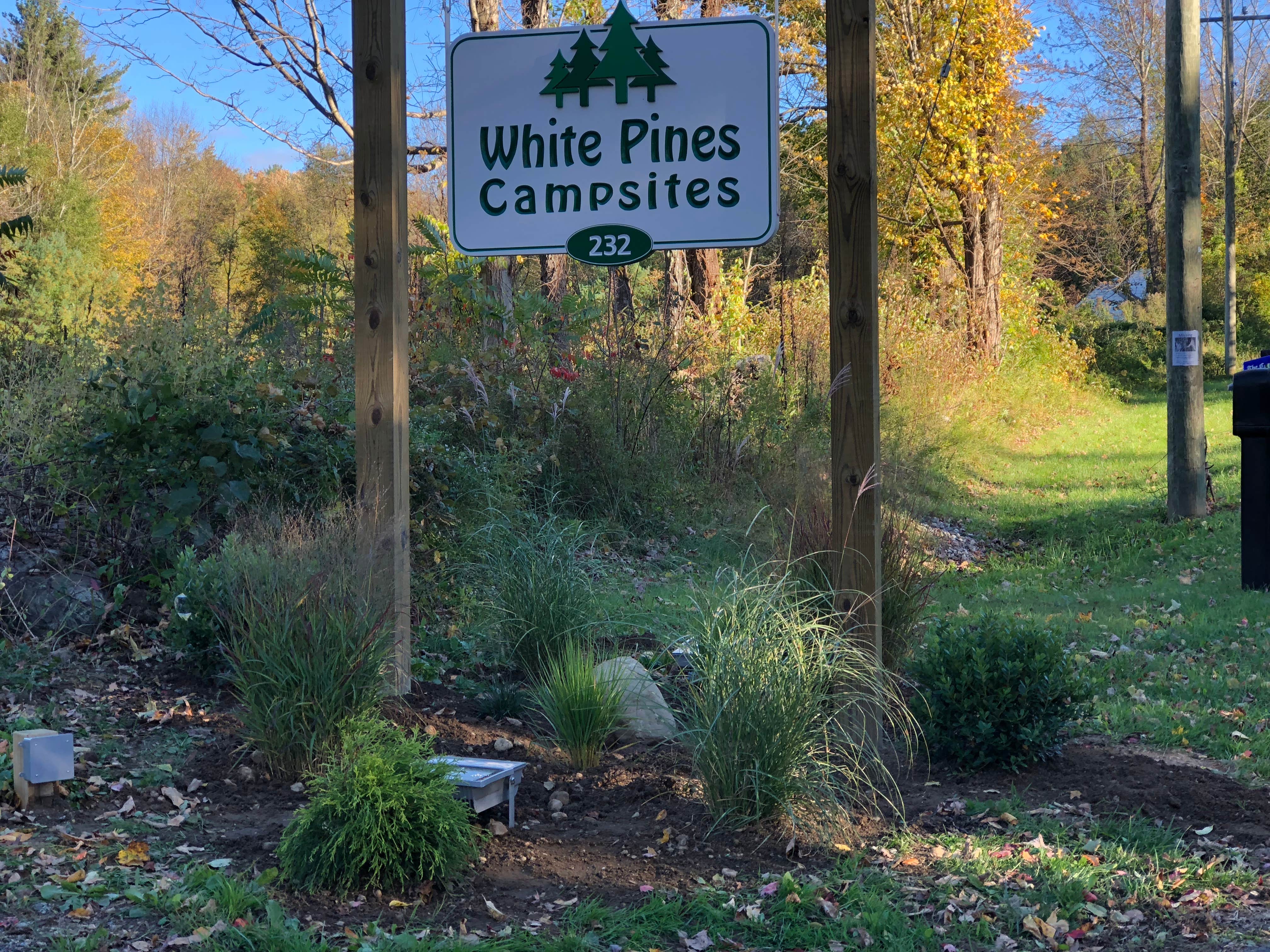 Camper submitted image from White Pines Campsites - 5