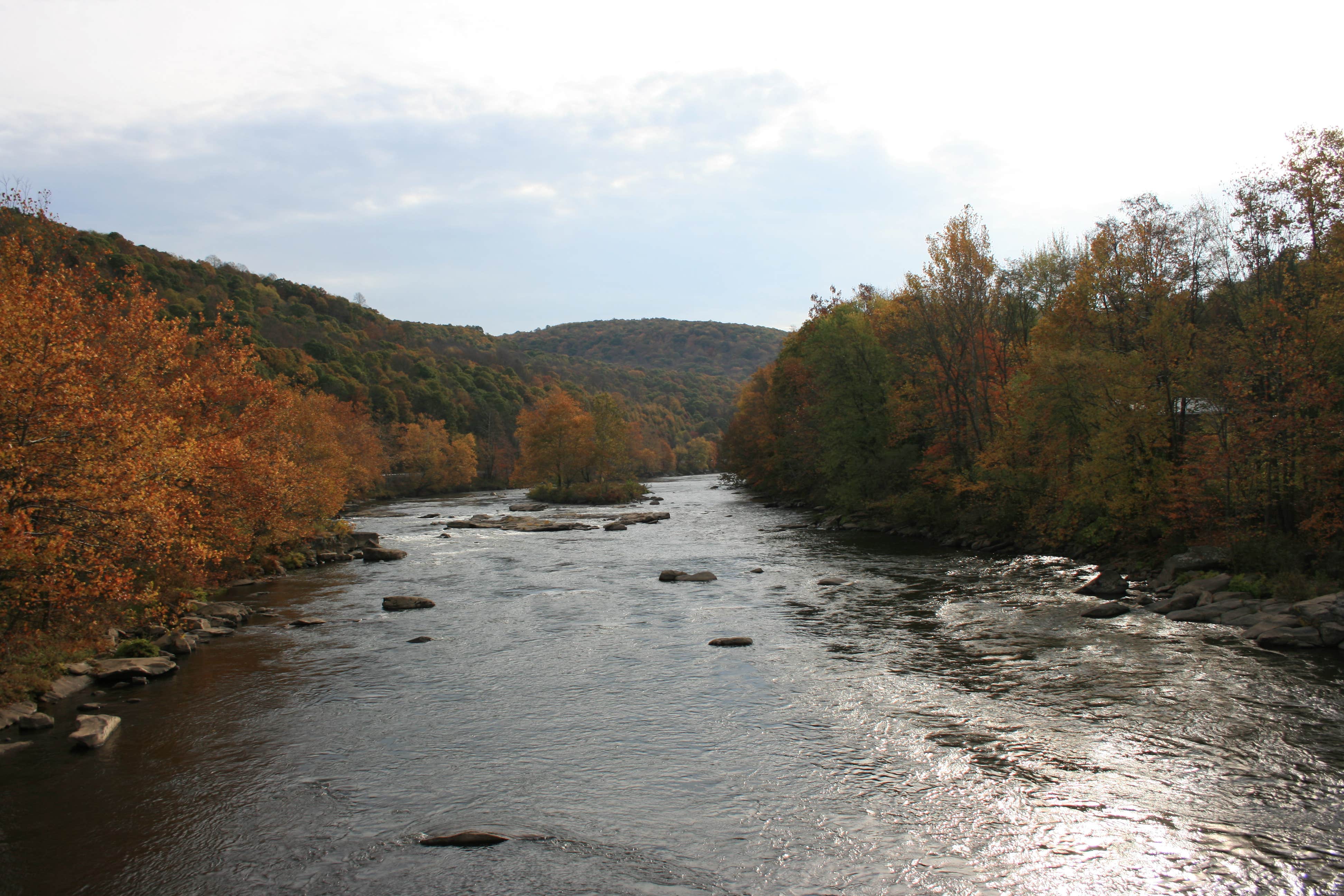 Kentuck Campground — Ohiopyle State Park