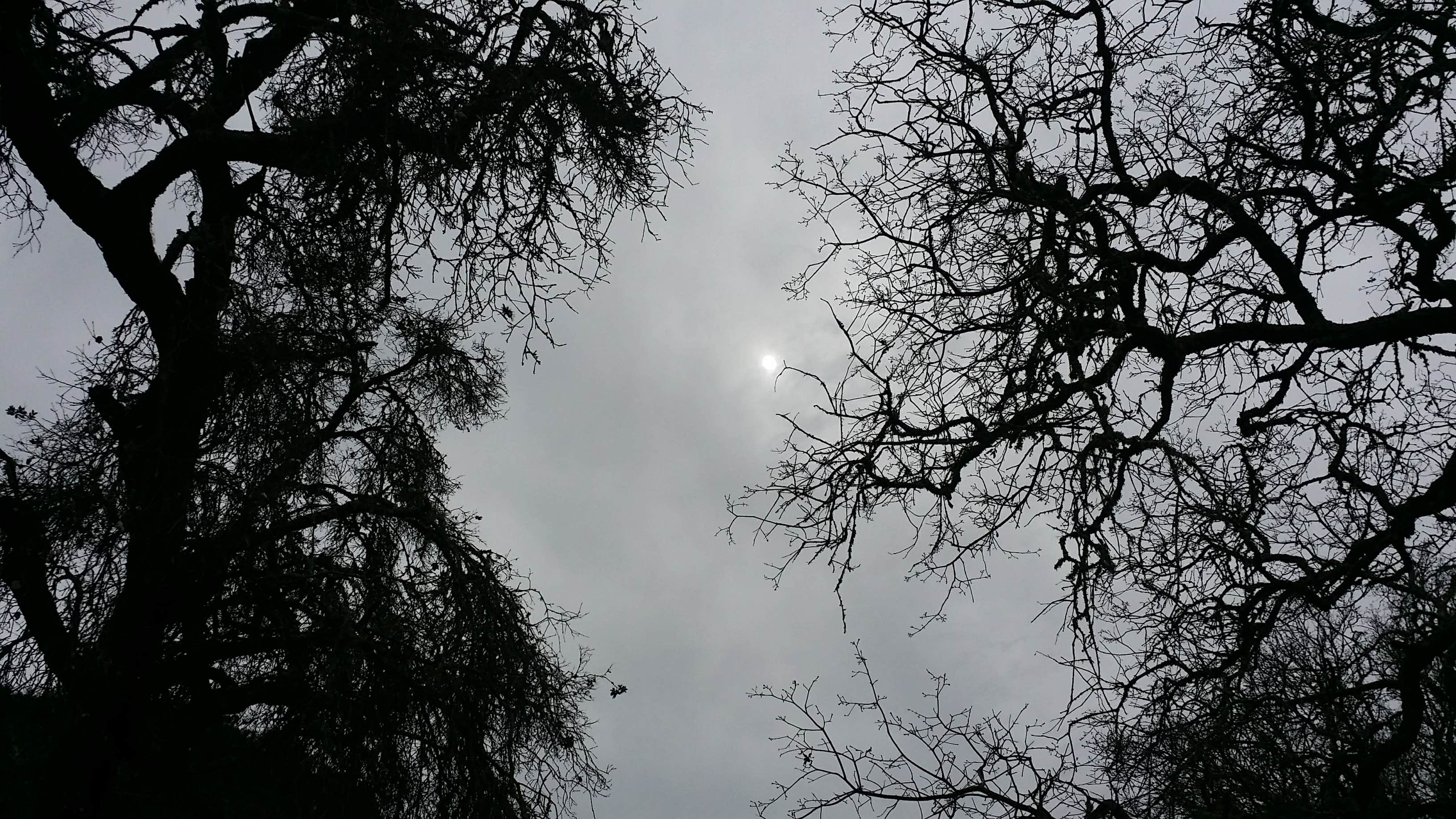 Camper submitted image from Colson Canyon Campground - 2