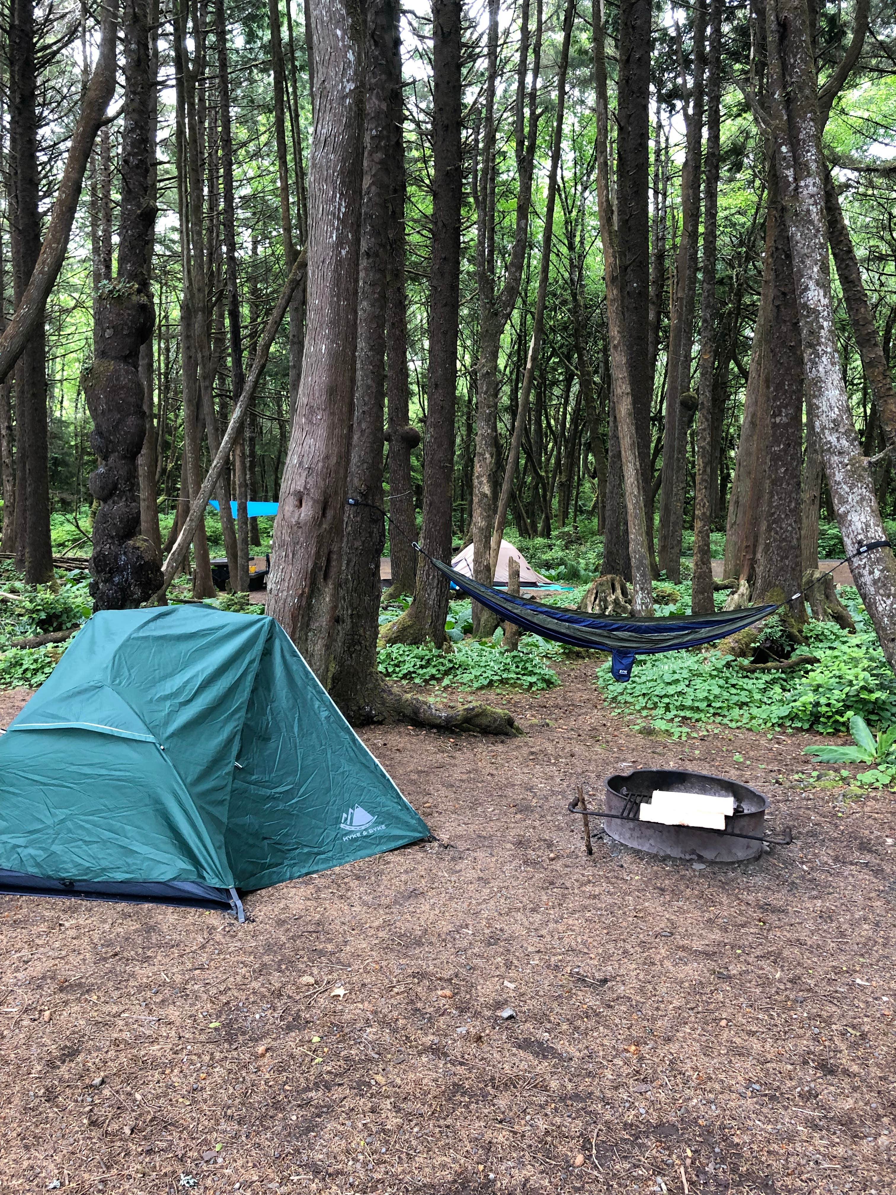Montie R.'s photo at Kalaloch Campground - group — Olympic National Park near Taholah, WA