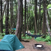 Review photo of Olympic National Park/Kalaloch by Montie R., November 7, 2019