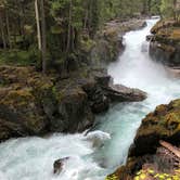 Review photo of Ohanapecosh Campground — Mount Rainier National Park by Montie R., November 7, 2019