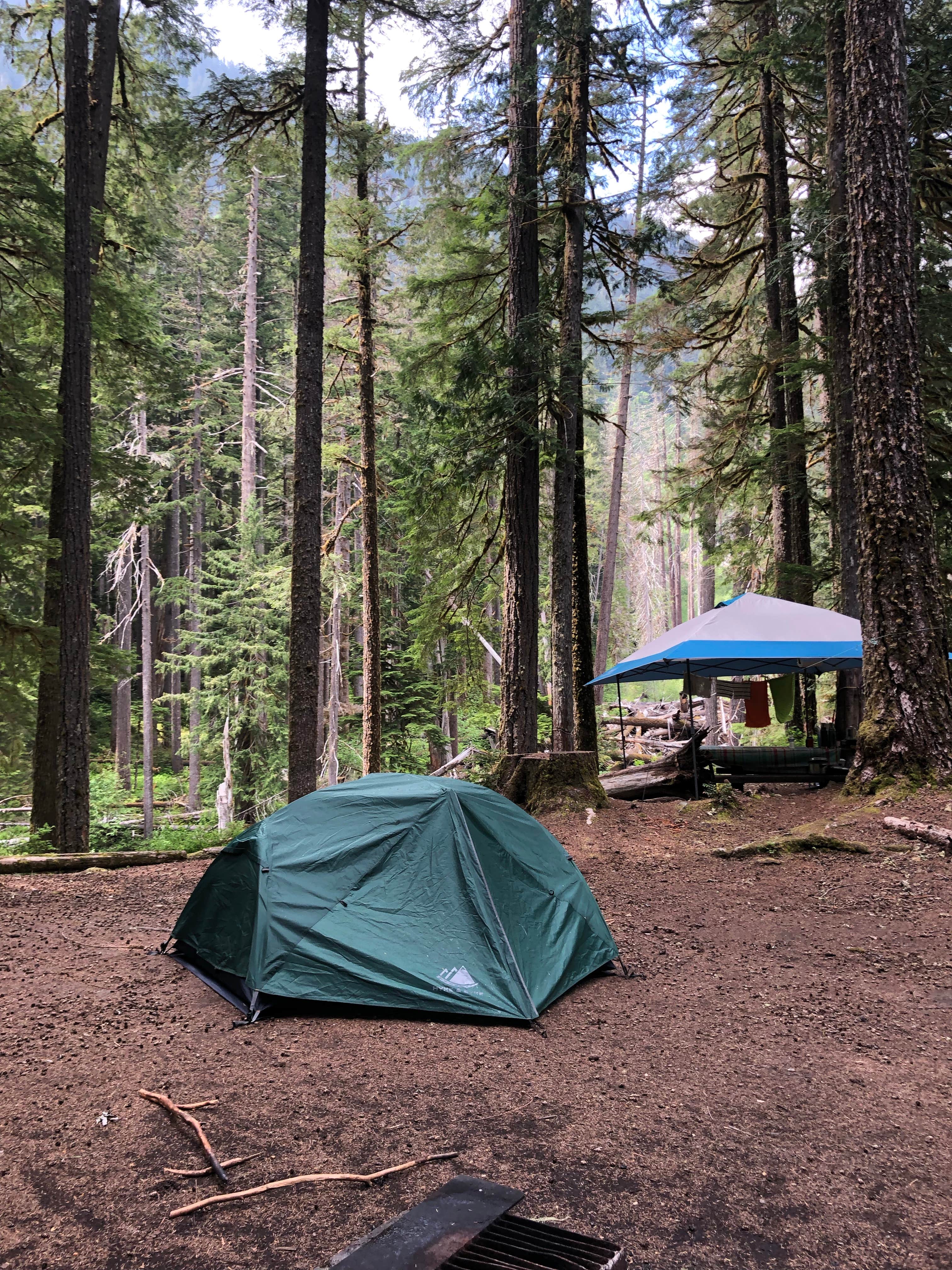 Montie R.'s photo at Ohanapecosh Campground — Mount Rainier National Park near Packwood, WA