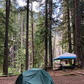 Review photo of Ohanapecosh Campground — Mount Rainier National Park by Montie R., November 7, 2019