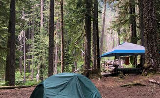 Montie R.'s photo at Ohanapecosh Campground — Mount Rainier National Park near Longmire, WA