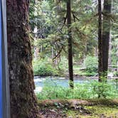Review photo of Ohanapecosh Campground — Mount Rainier National Park by Montie R., November 7, 2019
