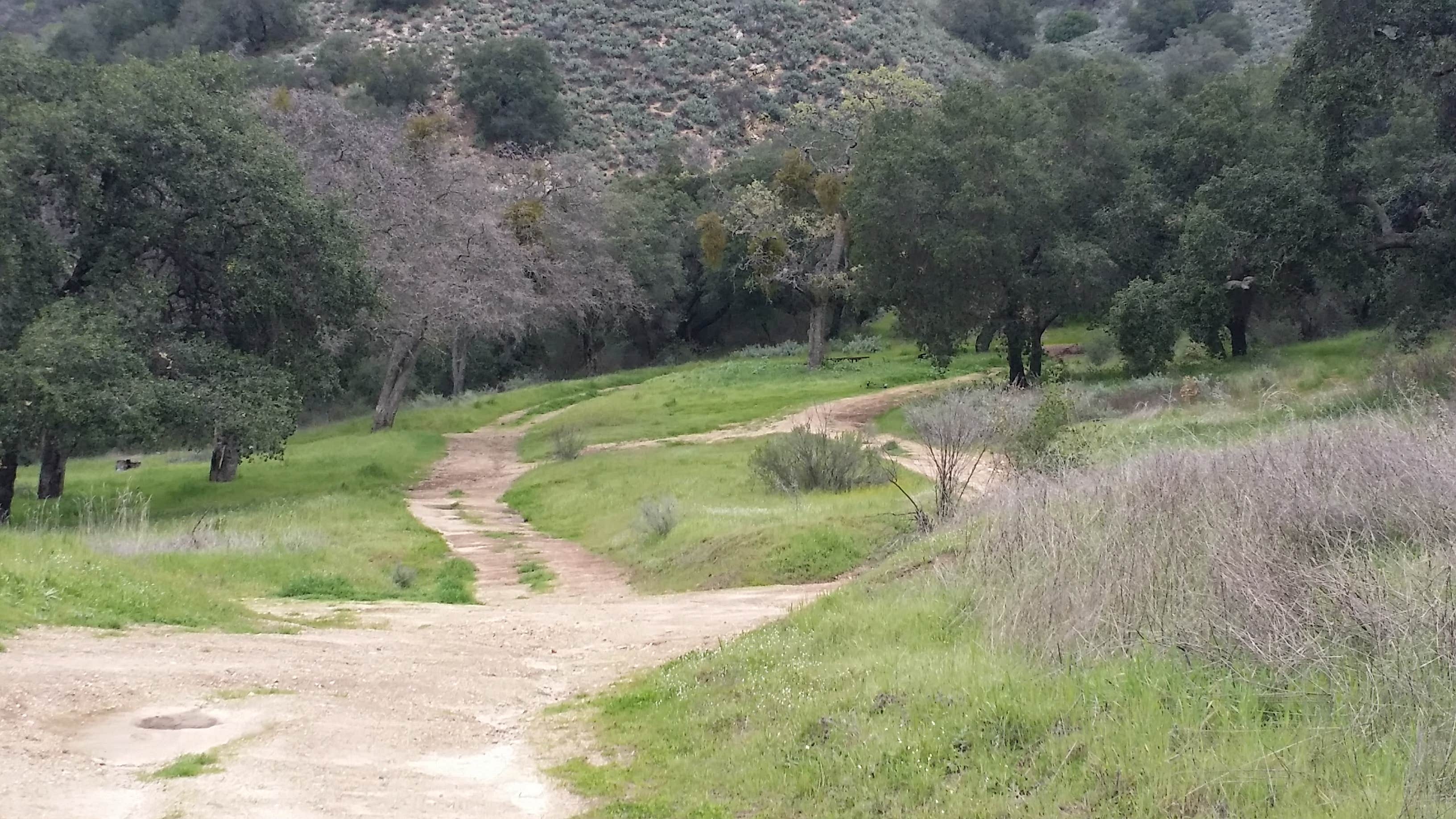 Escape to Colson Canyon: Your Southern California Camping Adventure