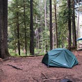 Review photo of Ohanapecosh Campground — Mount Rainier National Park by Montie R., November 7, 2019