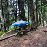 Review photo of Ohanapecosh Campground — Mount Rainier National Park by Montie R., November 7, 2019