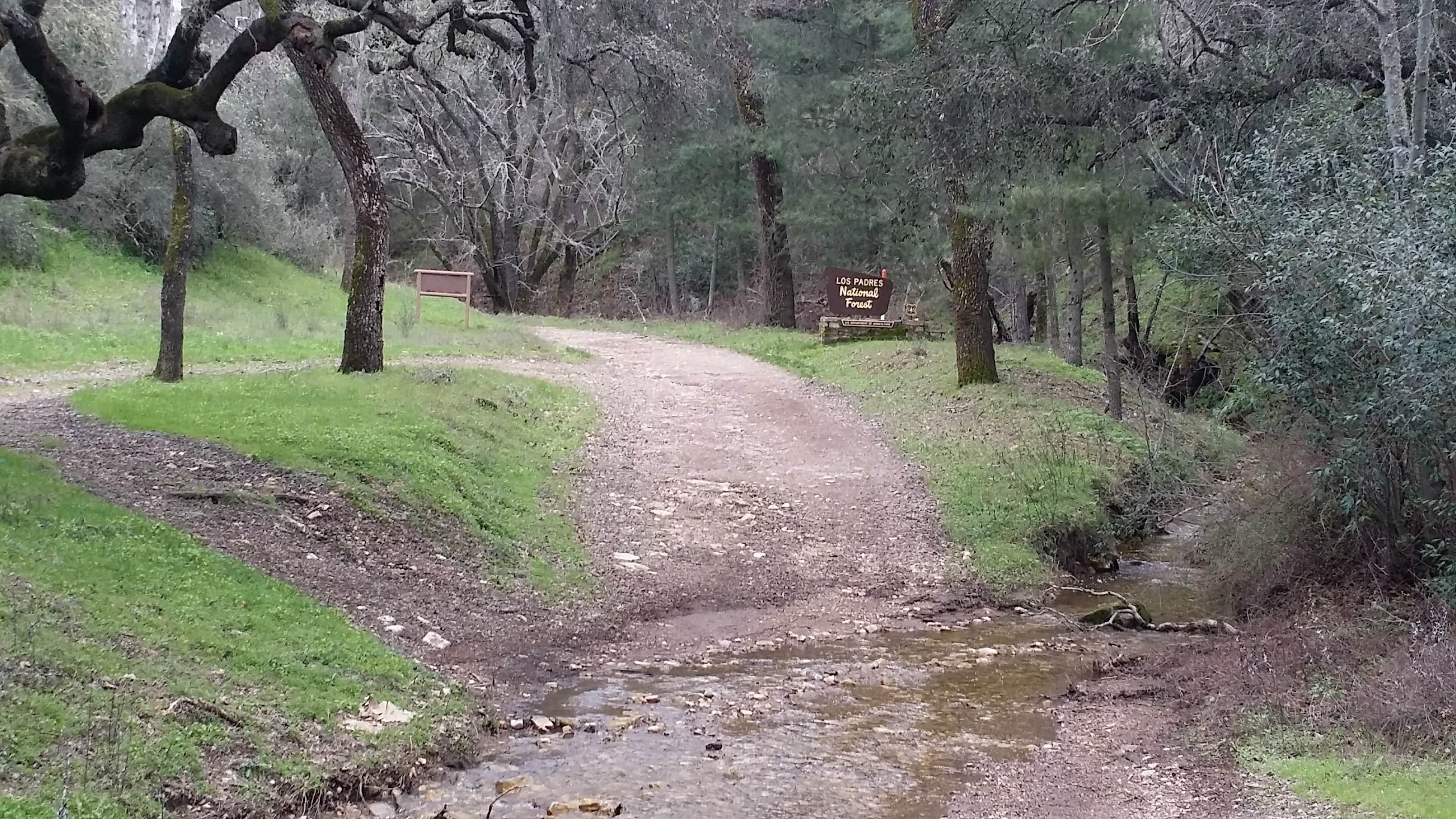 Camper submitted image from Colson Canyon Campground - 4