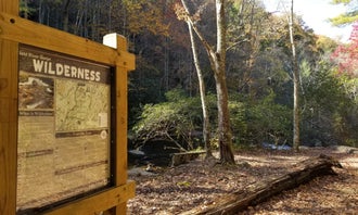 Camping near Indian Boundary: Bald River Falls Primitive #1, Tellico Plains, Tennessee