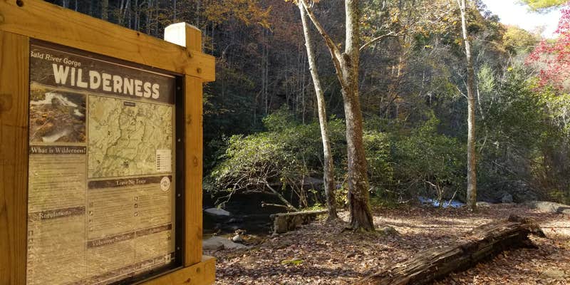 Camper submitted image from Bald River Falls Primitive #1