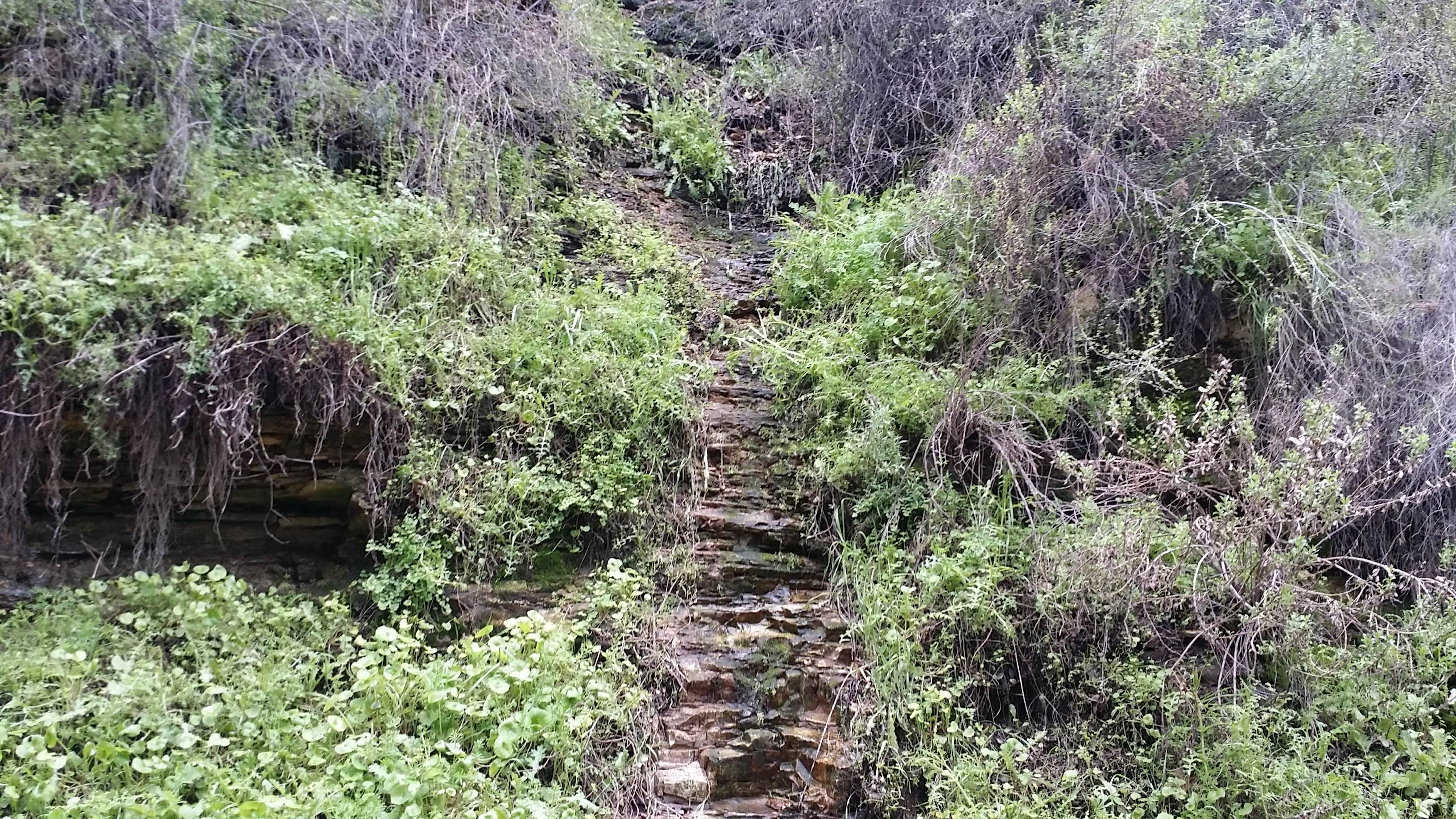 Camper-submitted photo at Colson Canyon Campground near Santa Maria, CA
