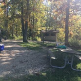 Review photo of Thomas Woods Campsite in Marengo Ridge by Emily L., November 8, 2019