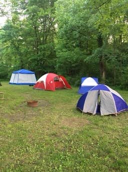 Camper submitted image from Chestnut Ridge Park and Campground - 3