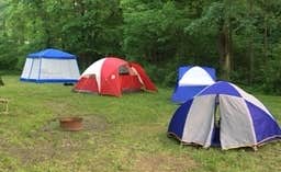 Don V.'s photo at Chestnut Ridge Park and Campground near Mineral Ridge, OH