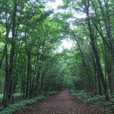 Review photo of Union Bay Campground — Porcupine Mountains Wilderness State Park by Kari K., November 8, 2019