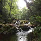 Review photo of Union Bay Campground — Porcupine Mountains Wilderness State Park by Kari K., November 8, 2019