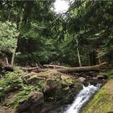 Review photo of Union Bay Campground — Porcupine Mountains Wilderness State Park by Kari K., November 8, 2019