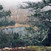 Review photo of Bean and Bear Lakes Hike-In — Tettegouche State Park by Kari K., November 8, 2019