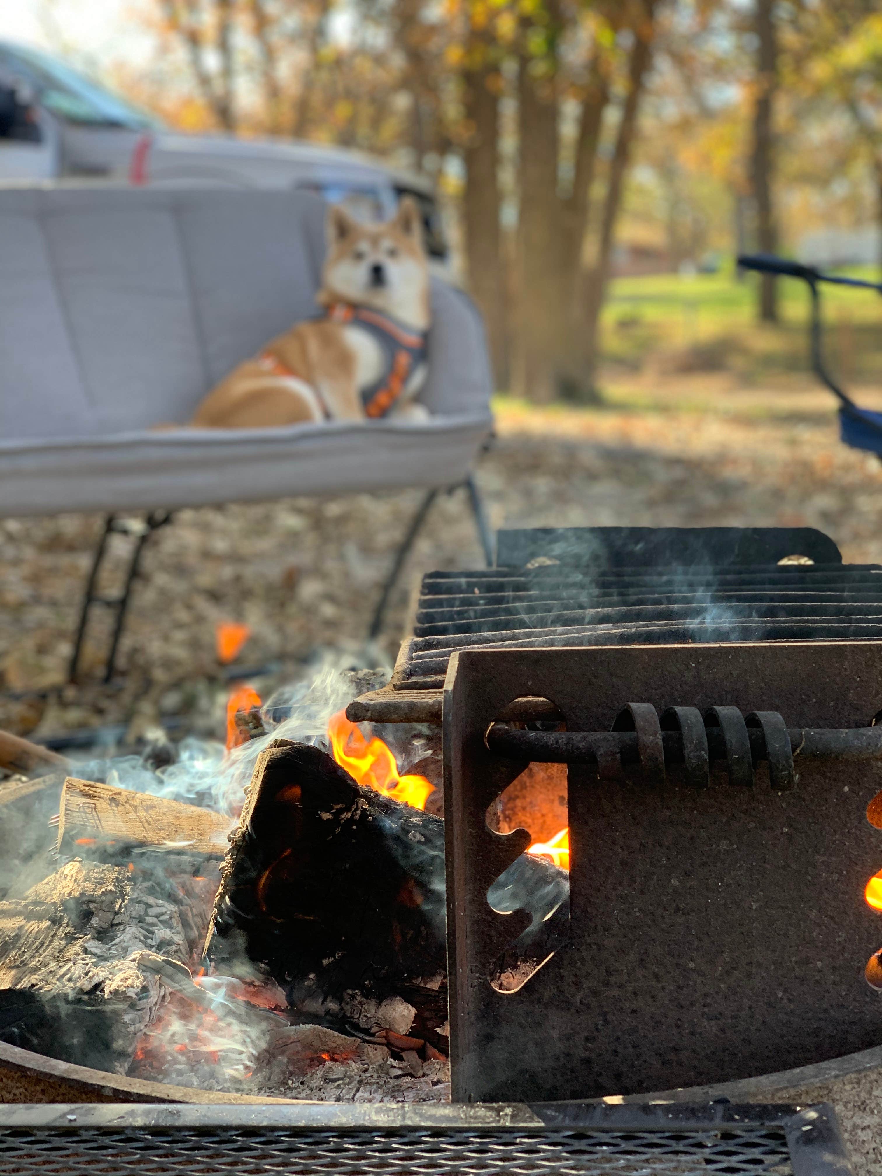 Tom H.'s photo of camping with pets at Eugene T. Mahoney State Park Campground near Lincoln, NE