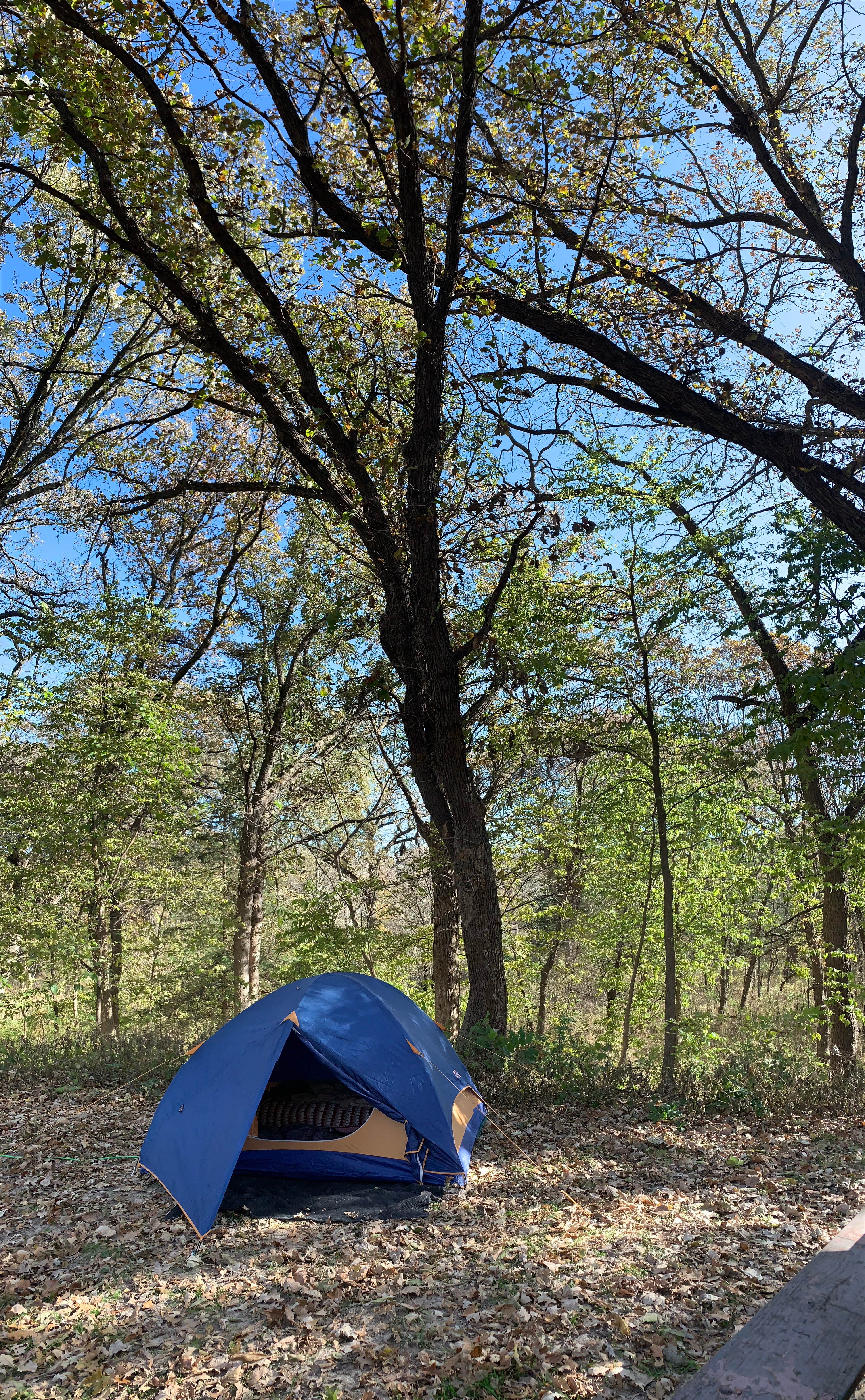 Tom H.'s photo at Eugene T. Mahoney State Park Campground near Boys Town, NE