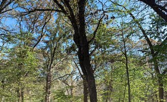 Tom H.'s photo at Eugene T. Mahoney State Park Campground near Union, NE