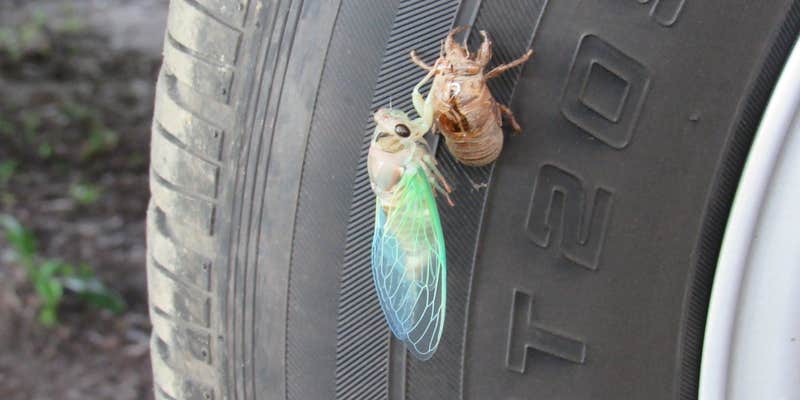 Camper submitted image from Swain's Lake