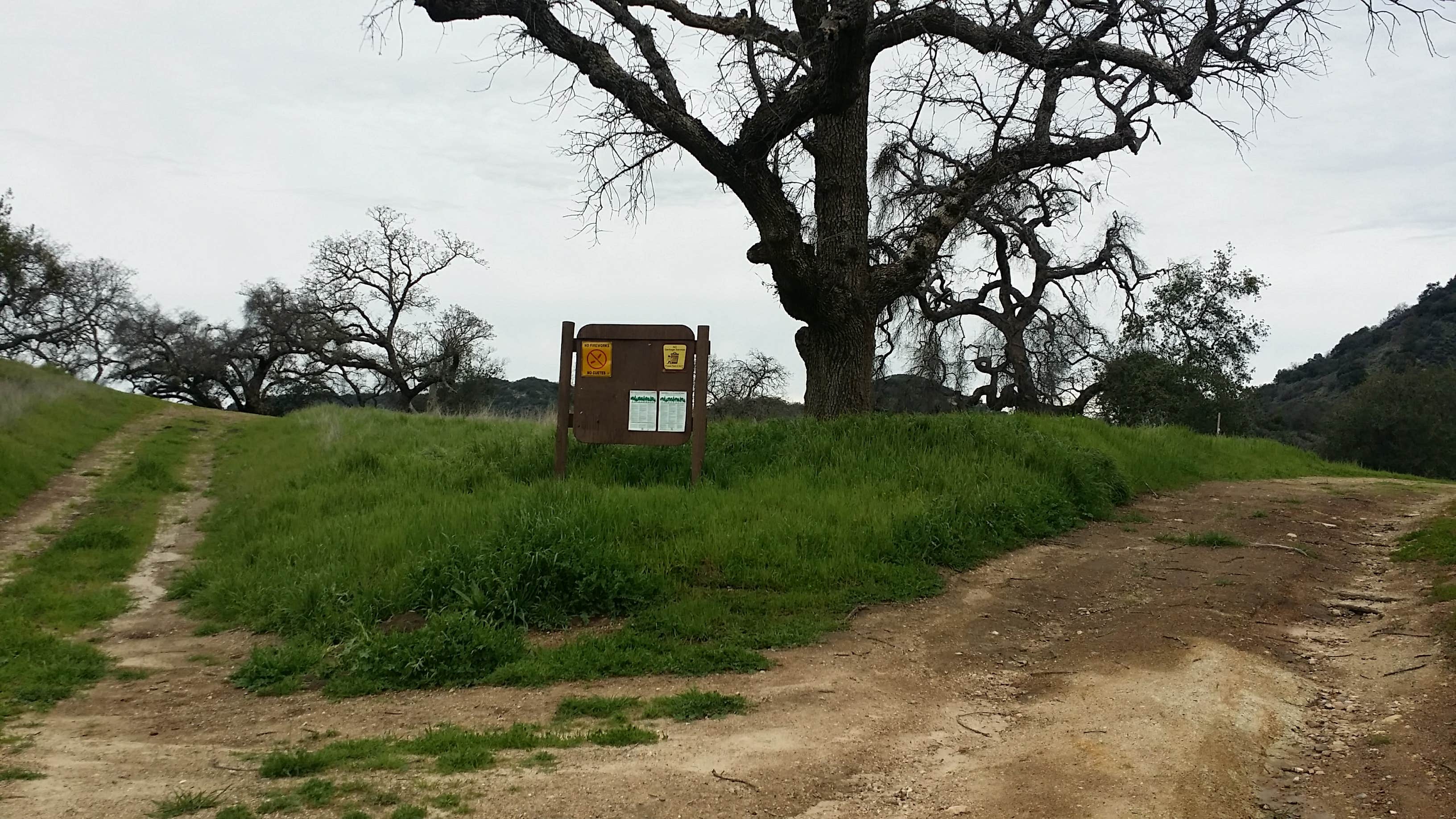 Camper-submitted photo at Colson Canyon Campground near Santa Maria, CA
