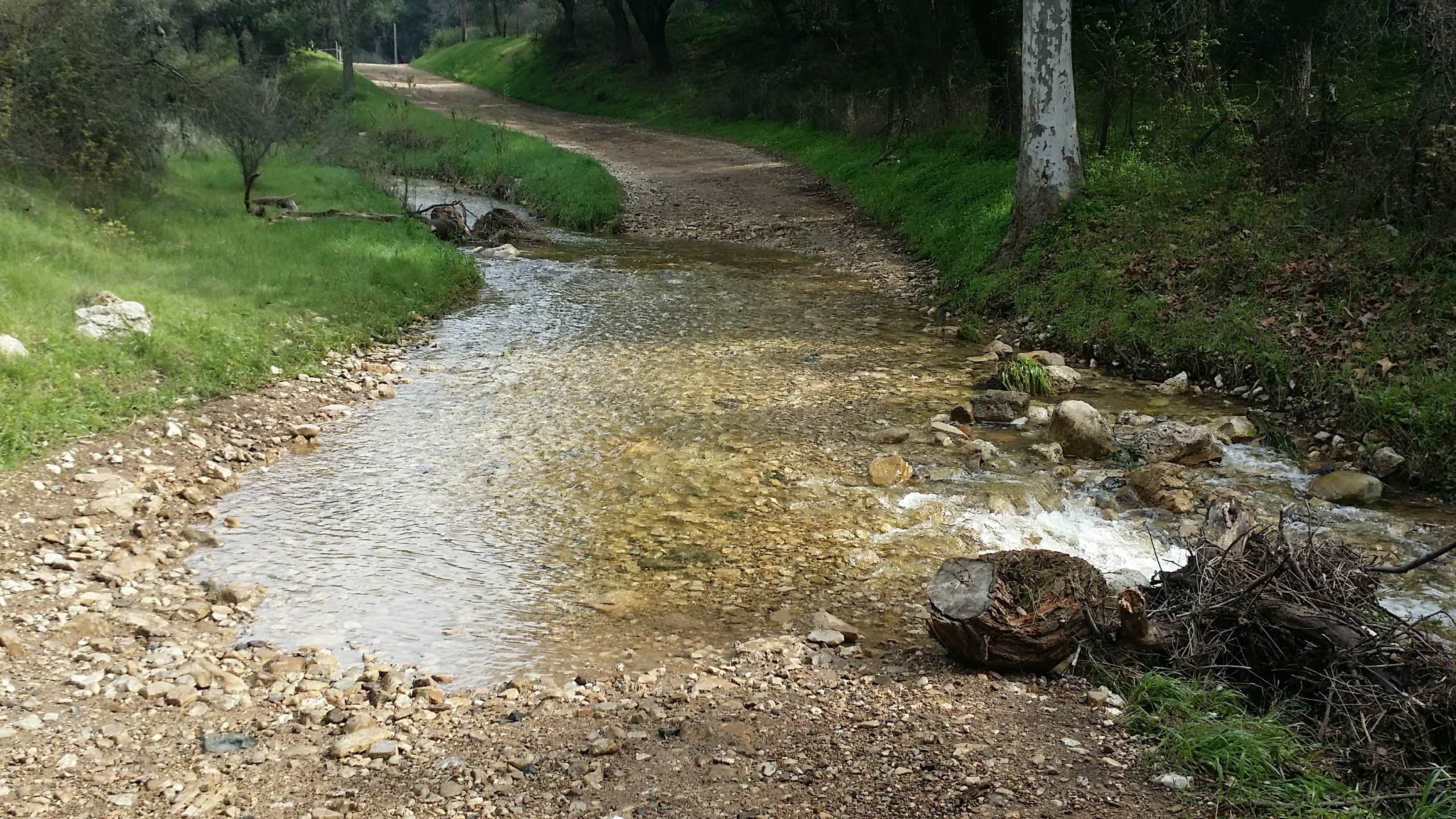 Camper-submitted photo at Colson Canyon Campground near Santa Maria, CA