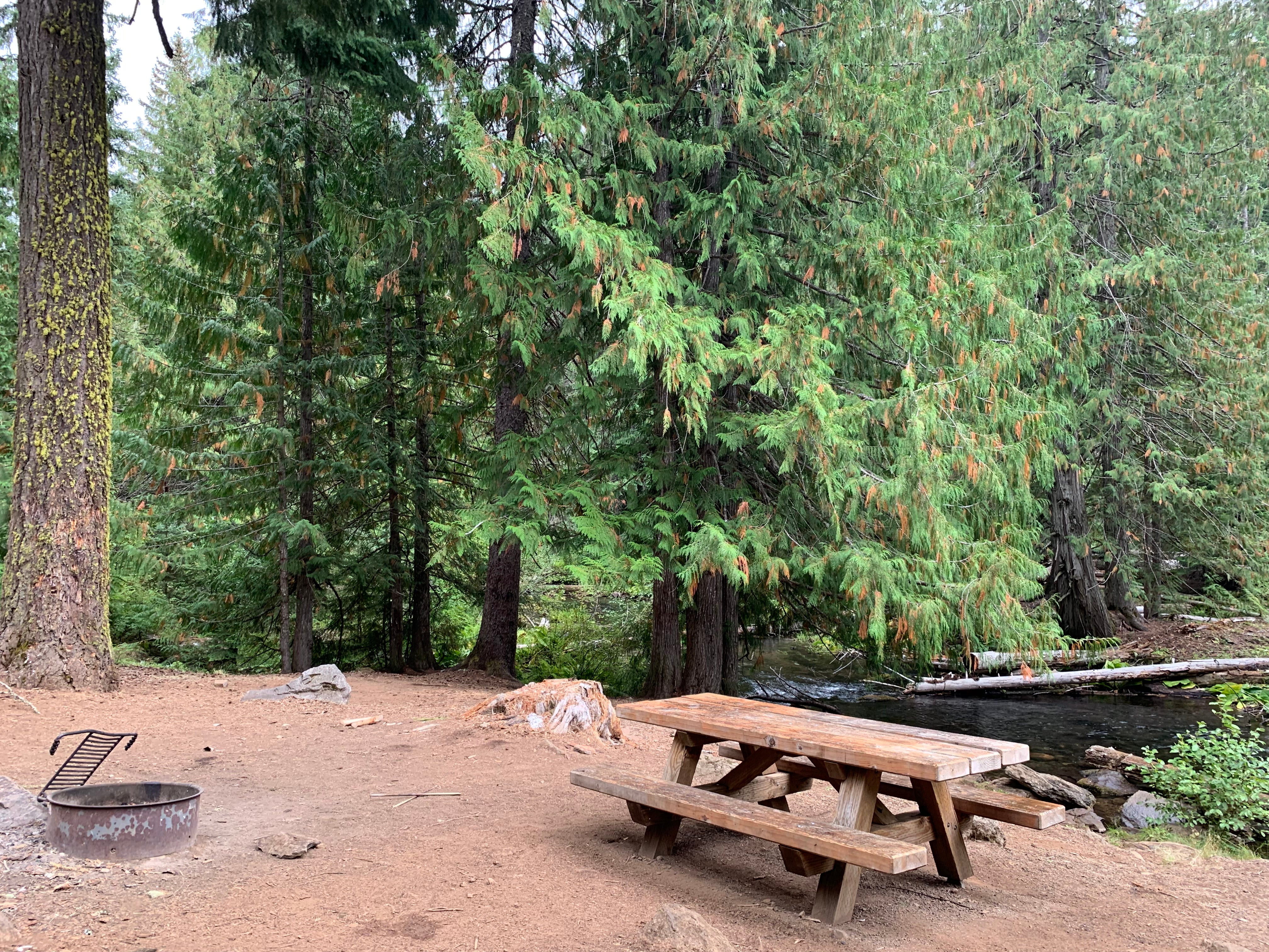 Camper submitted image from Clear Creek Crossing Campground - 5