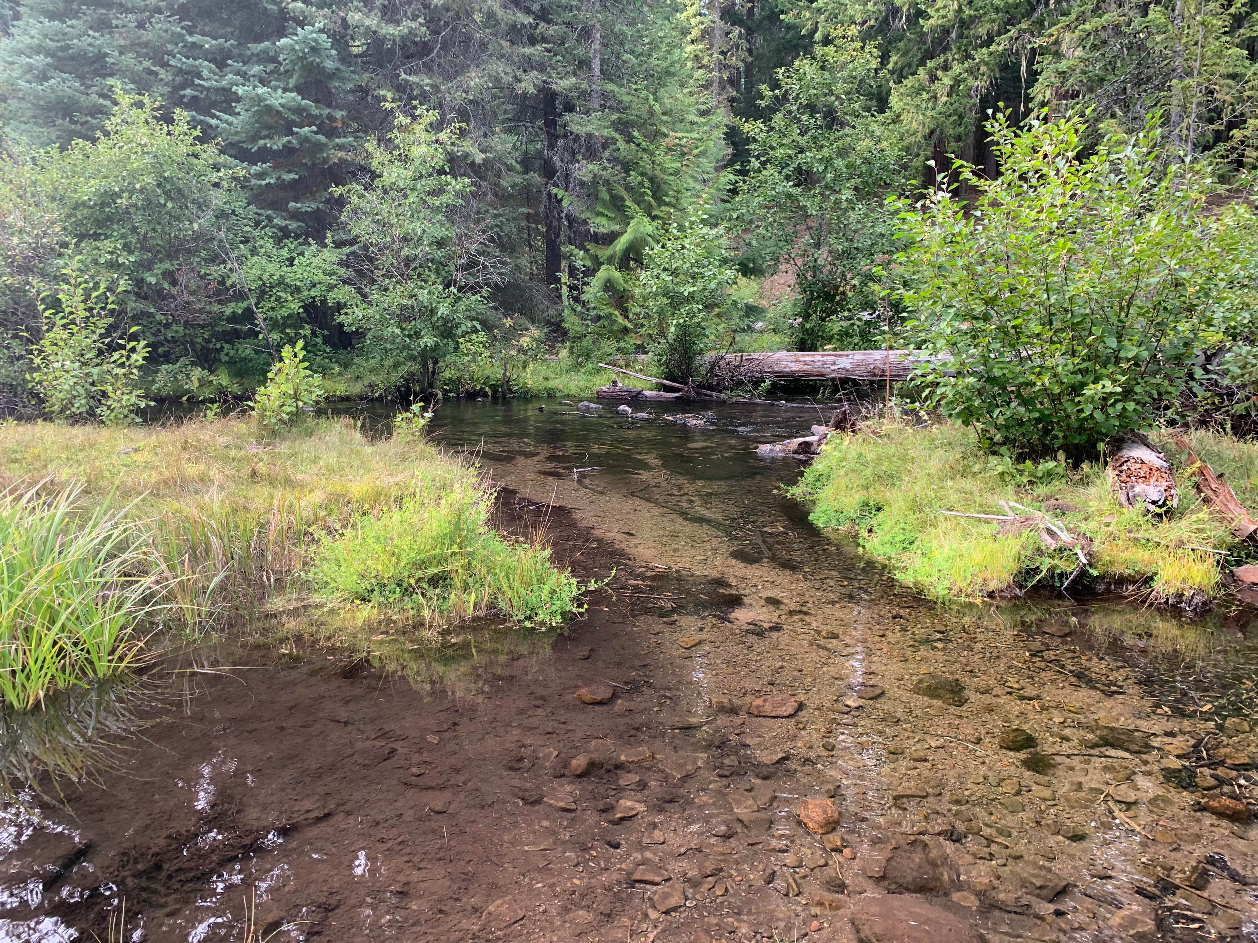 Water