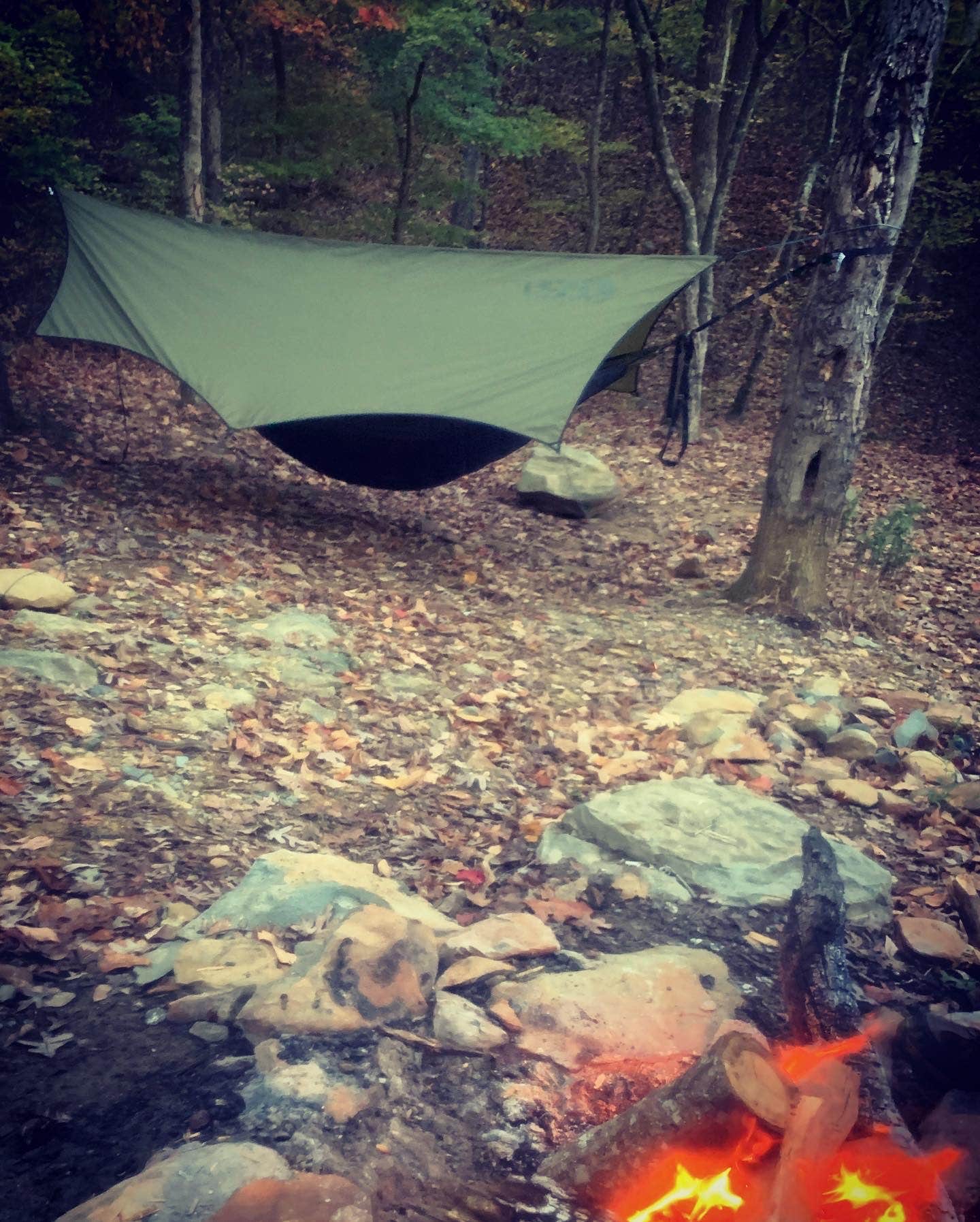 Shawn R.'s photo of tent camping at Deep Water Trail Camp near Pinebluff, NC