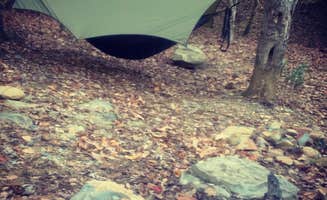 Shawn R.'s photo of tent camping at Deep Water Trail Camp near Waxhaw, NC