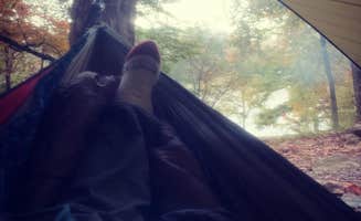 Shawn R.'s photo of tent camping at Deep Water Trail Camp near Uwharrie National Forest