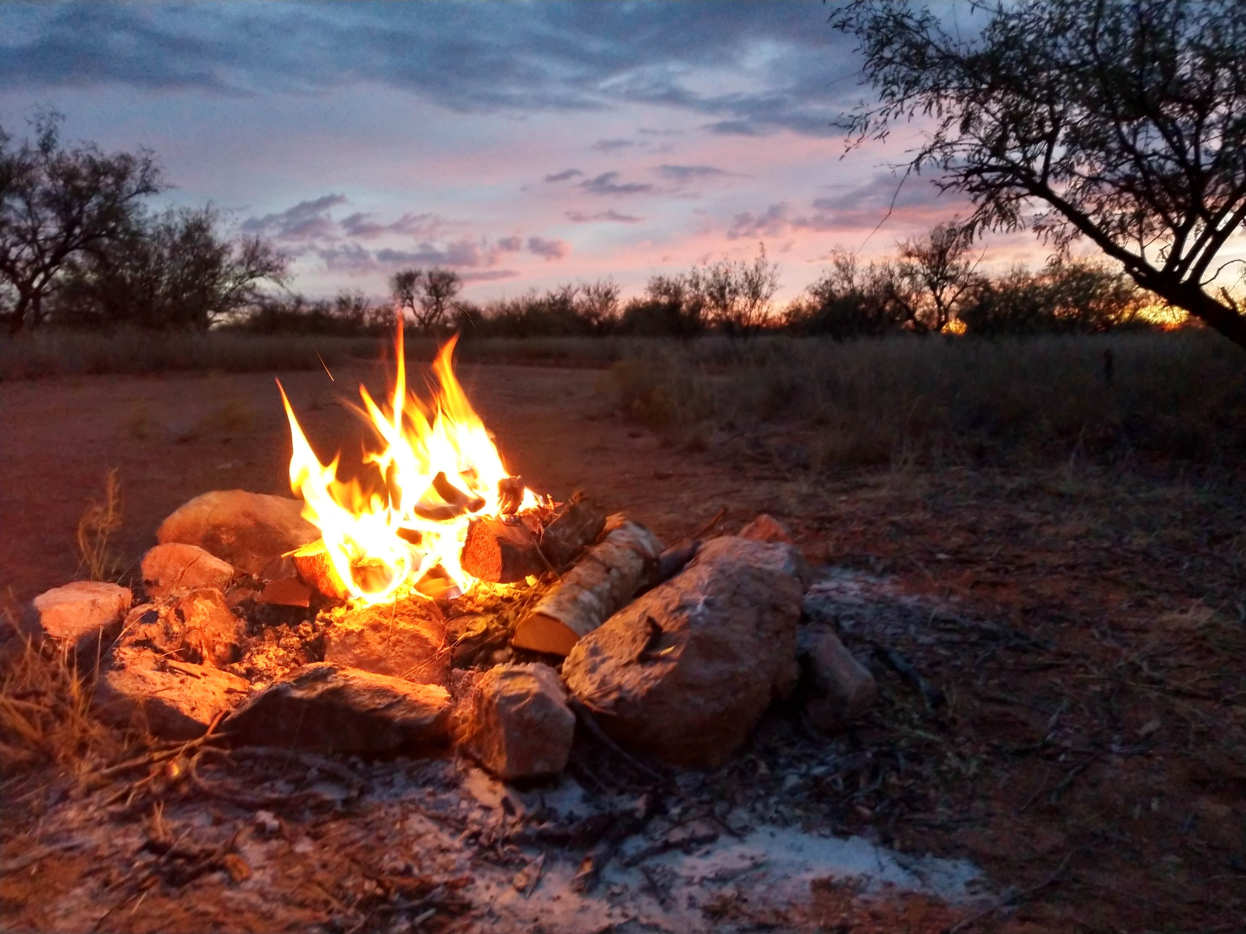 Camper submitted image from Bueno Aires National Wildlife Refuge - 3