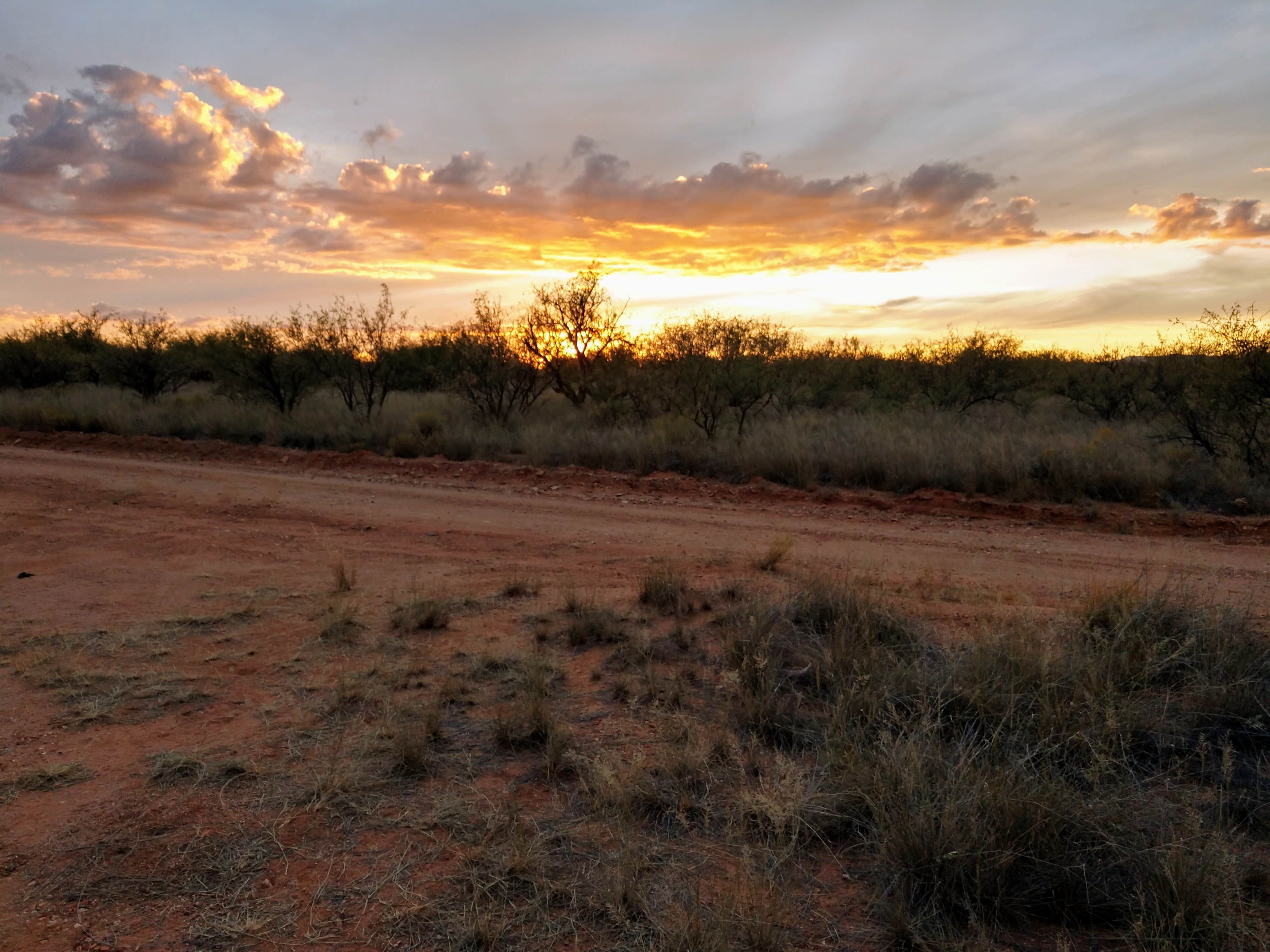 Camper-submitted photo at Bueno Aires National Wildlife Refuge near Arivaca, AZ