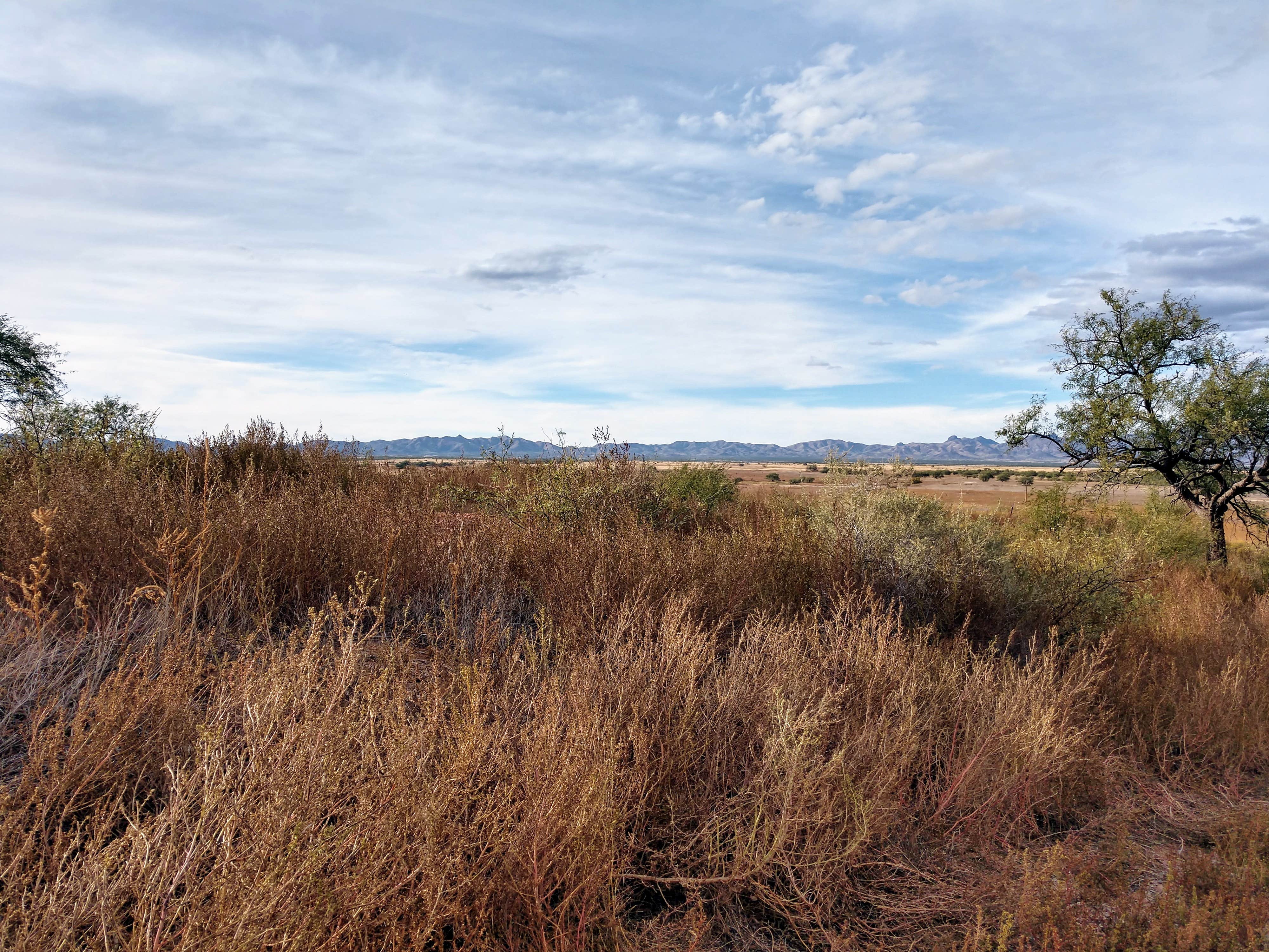 Camper-submitted photo at Bueno Aires National Wildlife Refuge near Arivaca, AZ