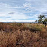 Review photo of Bueno Aires National Wildlife Refuge by Melissa H., November 10, 2019