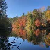 Review photo of Paris Mountain State Park Campground by Justin S., November 10, 2019