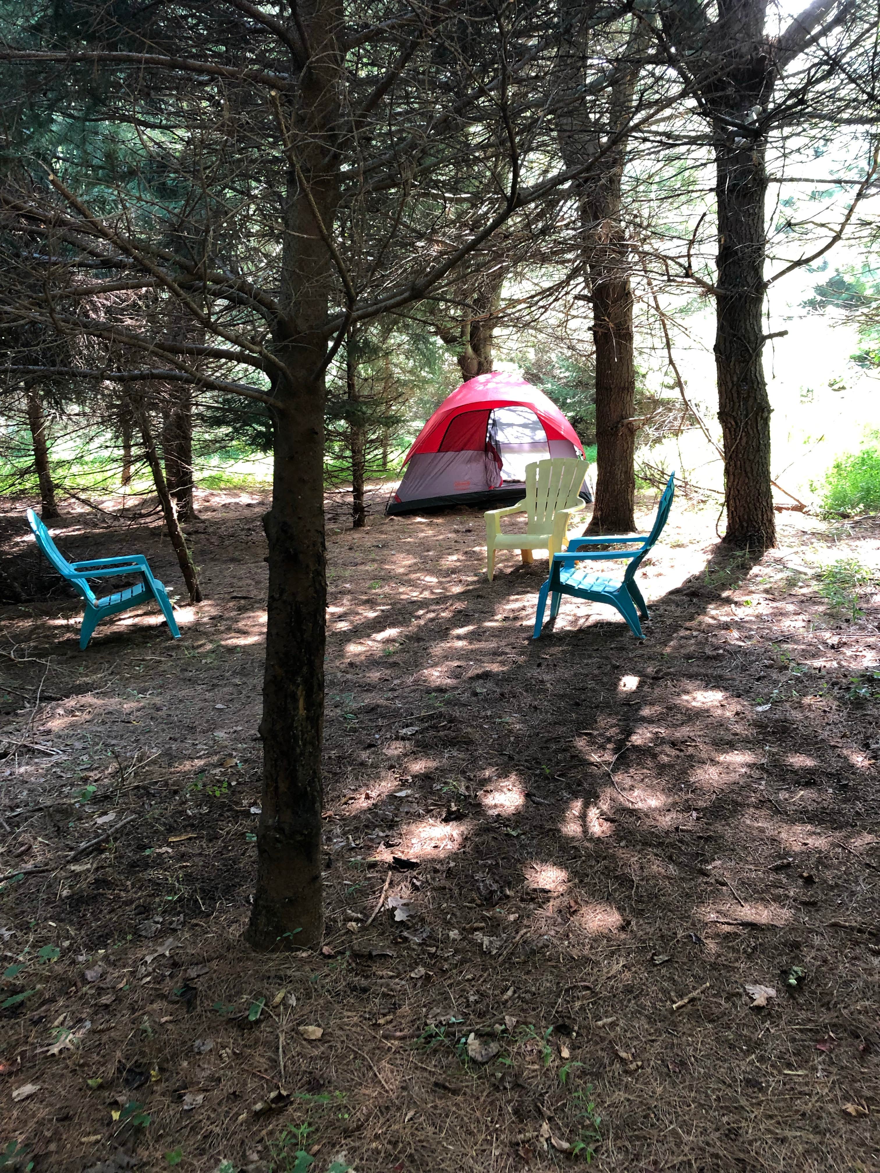 Ellen  K.'s photo of tent camping at Pleasant Valley Lavender near Beachwood, NJ