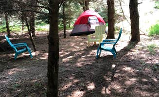 Ellen  K.'s photo of tent camping at Pleasant Valley Lavender near Rockville Centre, NY
