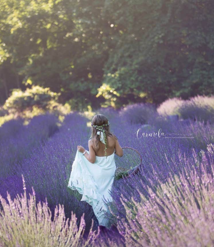 Camper-submitted photo at Pleasant Valley Lavender near Carteret, NJ